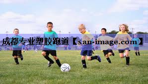 成都专业塑胶跑道 成都专业塑胶跑道