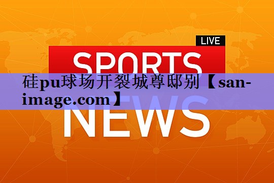 硅pu球场开裂城尊邸别 硅pu球场开裂城尊邸别