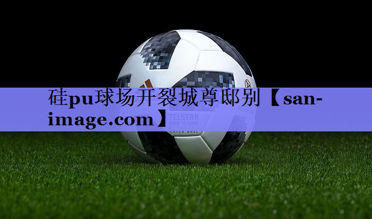 硅pu球场开裂城尊邸别 硅pu球场开裂城尊邸别