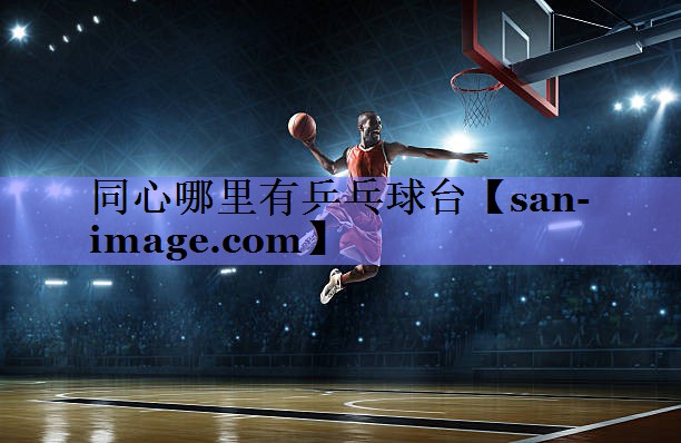 同心哪里有乒乓球台 同心哪里有乒乓球台