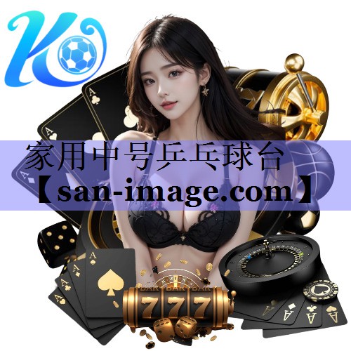 家用中号乒乓球台 家用中号乒乓球台